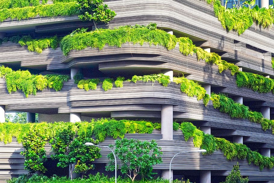 gray concrete building covered trees, plant, architecture, growth HD wallpaper