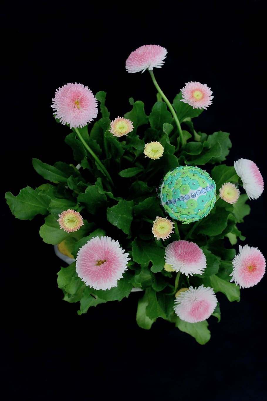 easter, egg, flowers, decorative, colored, easter eggs, pink HD wallpaper