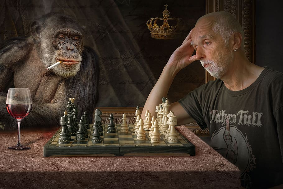 composing, monkey, photomontage, fantasy picture, mood, chess, HD wallpaper
