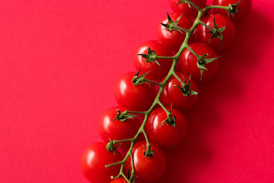 Cherry Tomatoes on Red Background with Room for Text, flat design, HD wallpaper