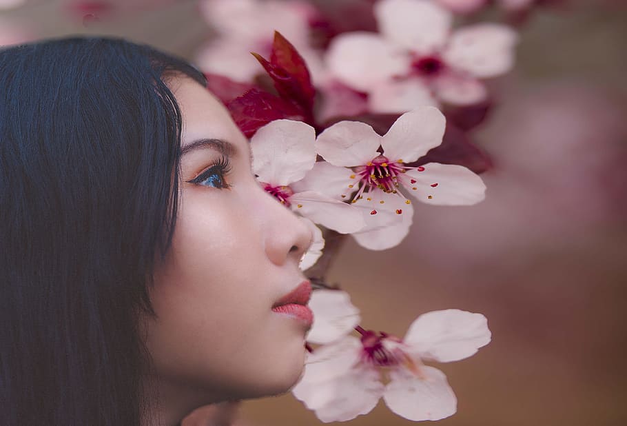 Woman Beside Cherry Blossoms, beautiful, delicate, face, fashion HD wallpaper