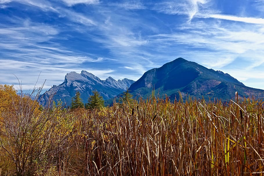 grass, mountains, nature, landscape, outdoor, clouds, environment HD wallpaper