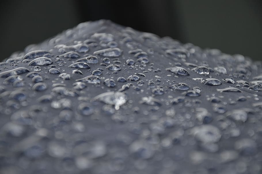 rain drops, water, wet, selective focus, close-up, no people HD wallpaper