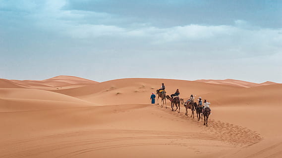 people riding on camel during daytime, desert, dune, sand, tan HD wallpaper