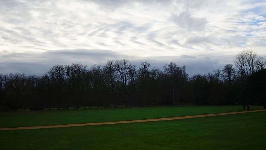 campus, blur, dawn, cloud - sky, plant, sport, tree, grass HD wallpaper