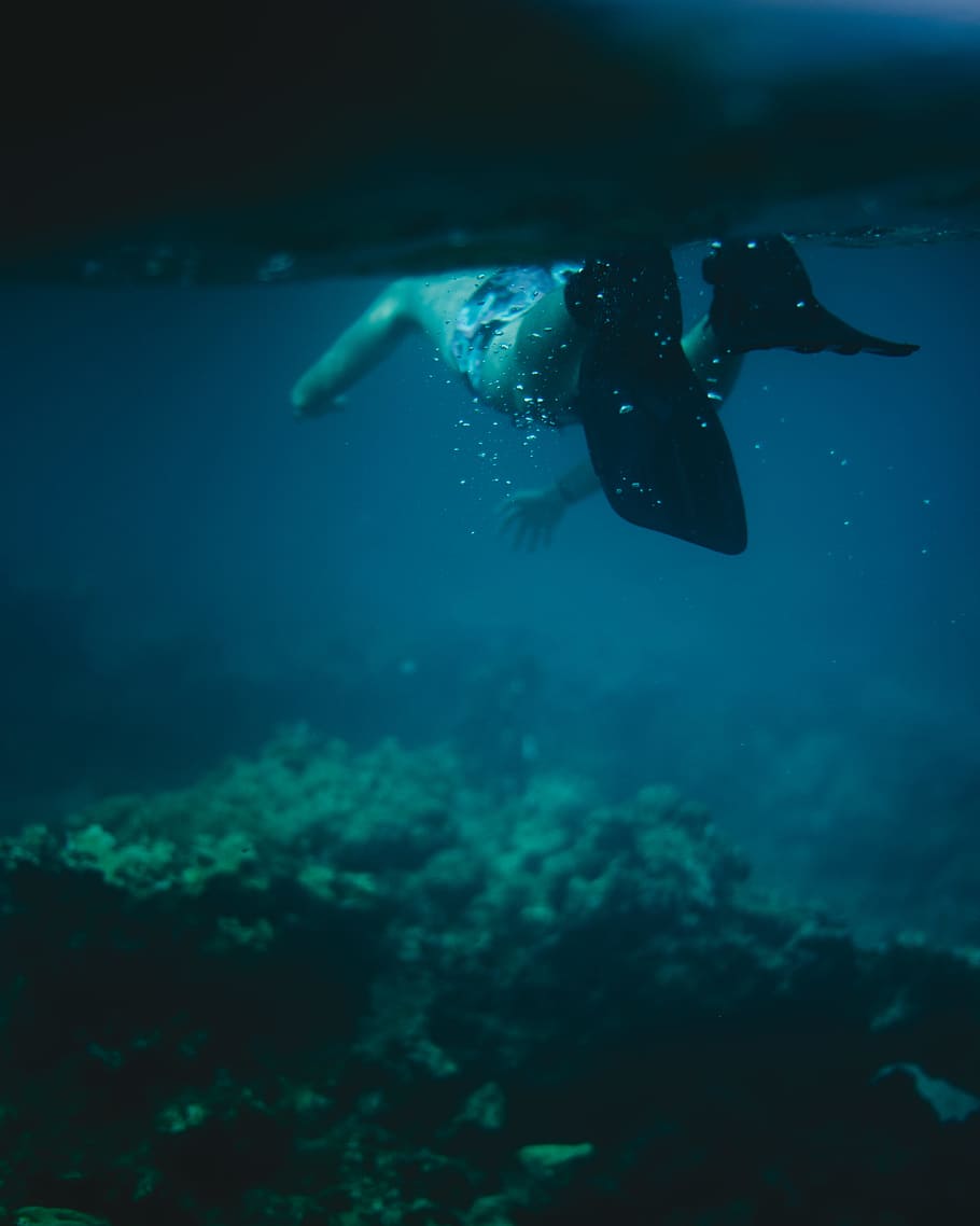 man in black flippers in body of water, snorkling, diving, underwater, HD wallpaper