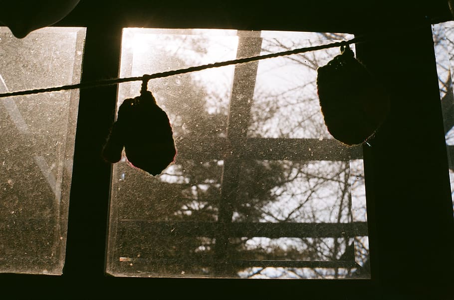 window, film, hanging, nature, no people, day, silhouette, close-up HD wallpaper