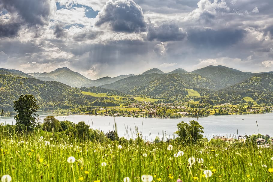 Landscape Photograpy of Nature, adventure, daylight, field, flora HD wallpaper