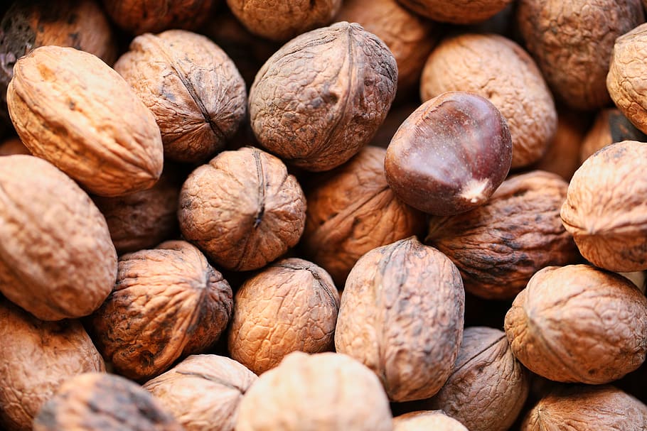 brown walnut lot, food, food and drink, full frame, nut - food HD wallpaper