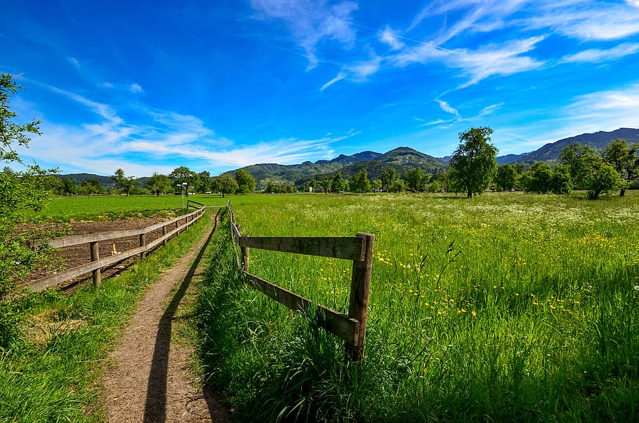 passage, meadow, landscape, grass, away, hiking, sky, wegchen HD wallpaper