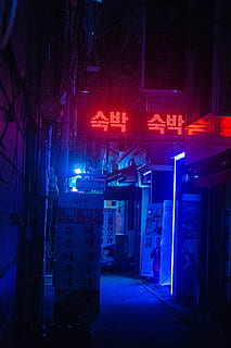 HD wallpaper: people playing arcade games, seoul, korea, neon, noir ...