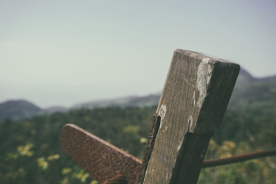 wood, landscape, focus on foreground, wood - material, no people HD wallpaper