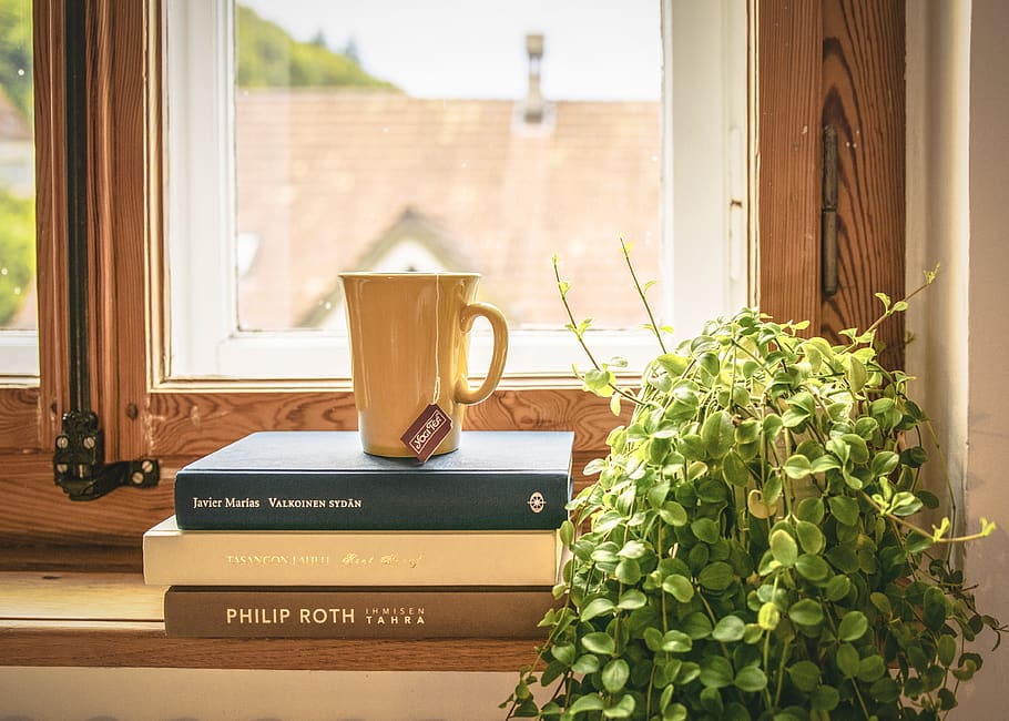 Green Leafed Plant Beside Books and Mug, book stack, contemporary HD wallpaper