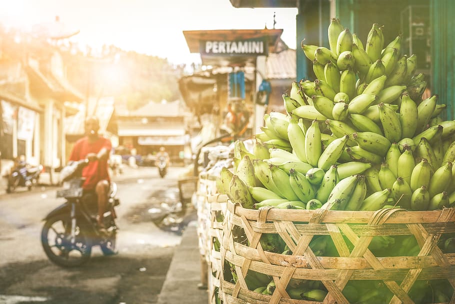 Bunch of Green Bananas in Basket, background, close-up, colors HD wallpaper