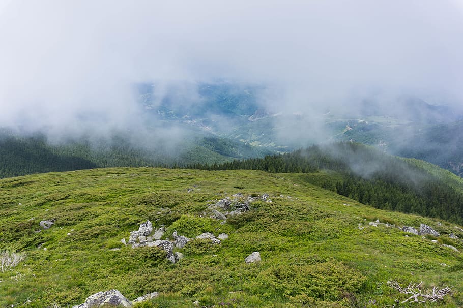 HD wallpaper: Foggy Mountain, daylight, environment, grass, hill ...