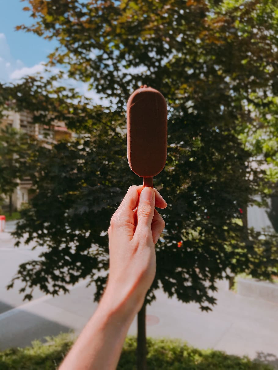 Person Holding Chocolate Popsicle, adult, daylight, garden, hand