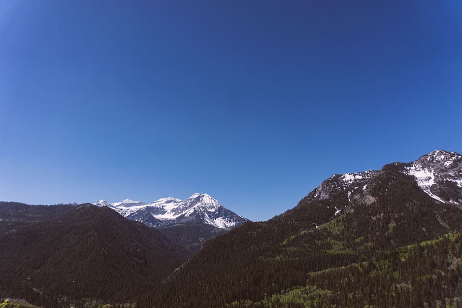 blue, sky, mountain, highland, trees, forest, plant, landscape HD wallpaper