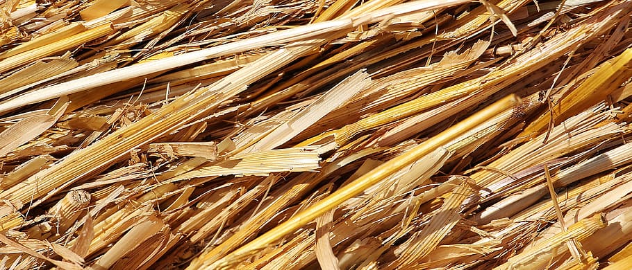 role, hay, straw, macro, nature, field, farm, full frame, backgrounds HD wallpaper