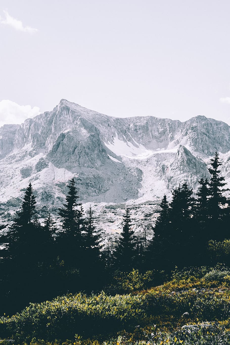 nature, mountain, trees, green, woods, forest, autumn, fall HD wallpaper