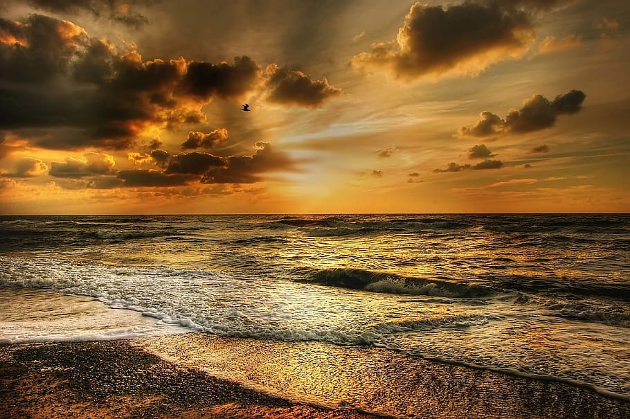 Seashore during Sunset, beach, coast, dark clouds, dawn, dramatic HD wallpaper