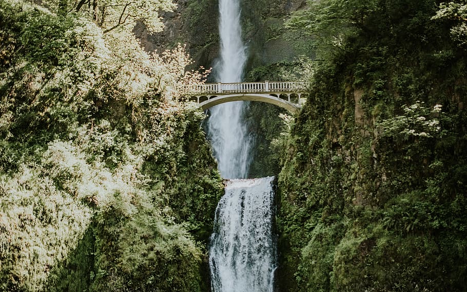 water fall during daytime, river, nature, outdoors, waterfall HD wallpaper