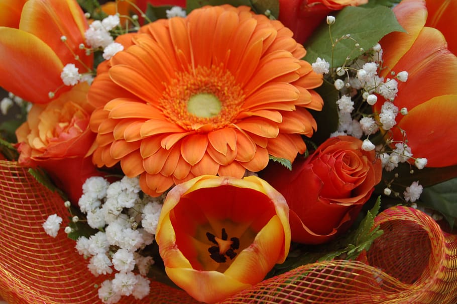 flower, bouquet de fleurs, floral, nature, leaf, orange, flowering plant, HD wallpaper