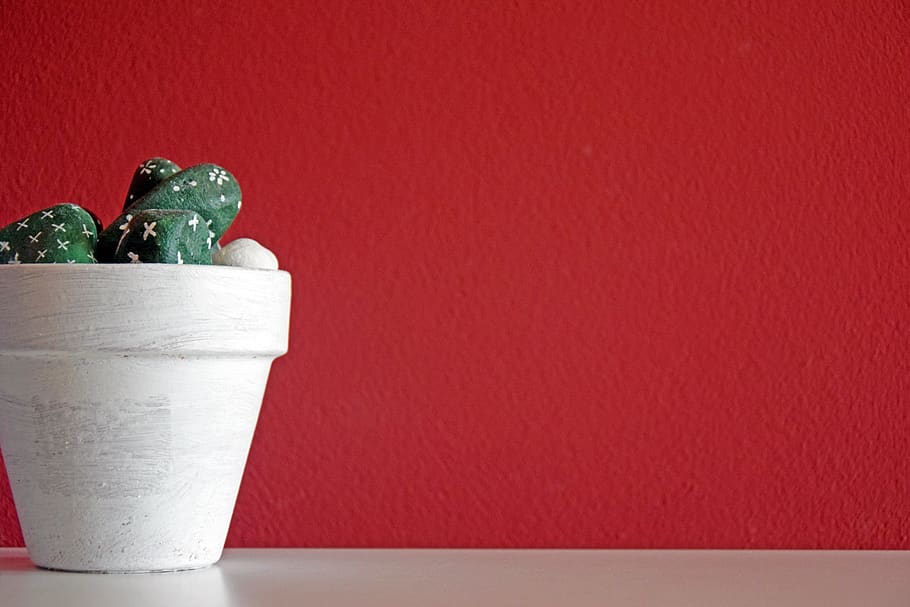 background, plant, vase, sassi, decoration, wall, red, inside, HD wallpaper
