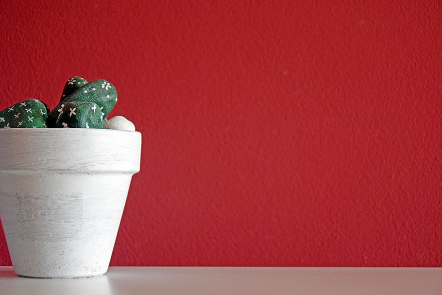 background, plant, vase, sassi, decoration, wall, red, inside HD wallpaper