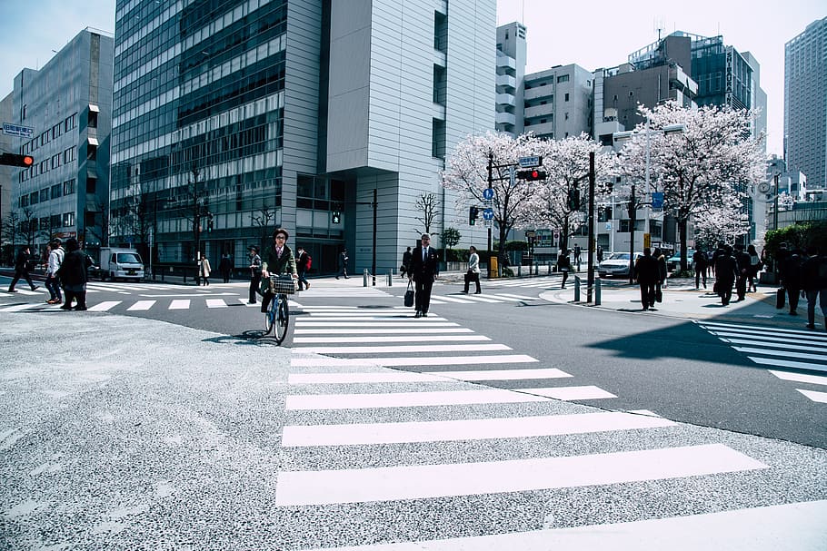 People Crossing Pedestrian Lane, city, contemporary, intersection HD wallpaper
