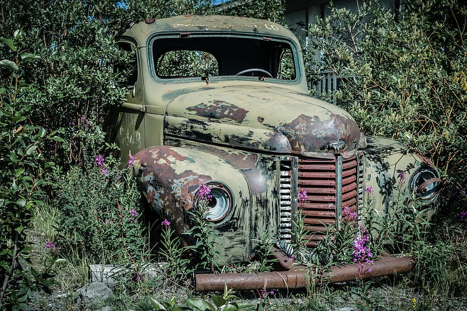 scrap car, oldtimer, auto, bush, car wreck, rust, rusted, stainless karre, HD wallpaper