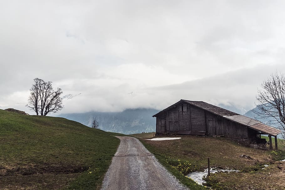 mountain, shed, cabin, tree, wooden, switzerland, idyllic, countryside HD wallpaper