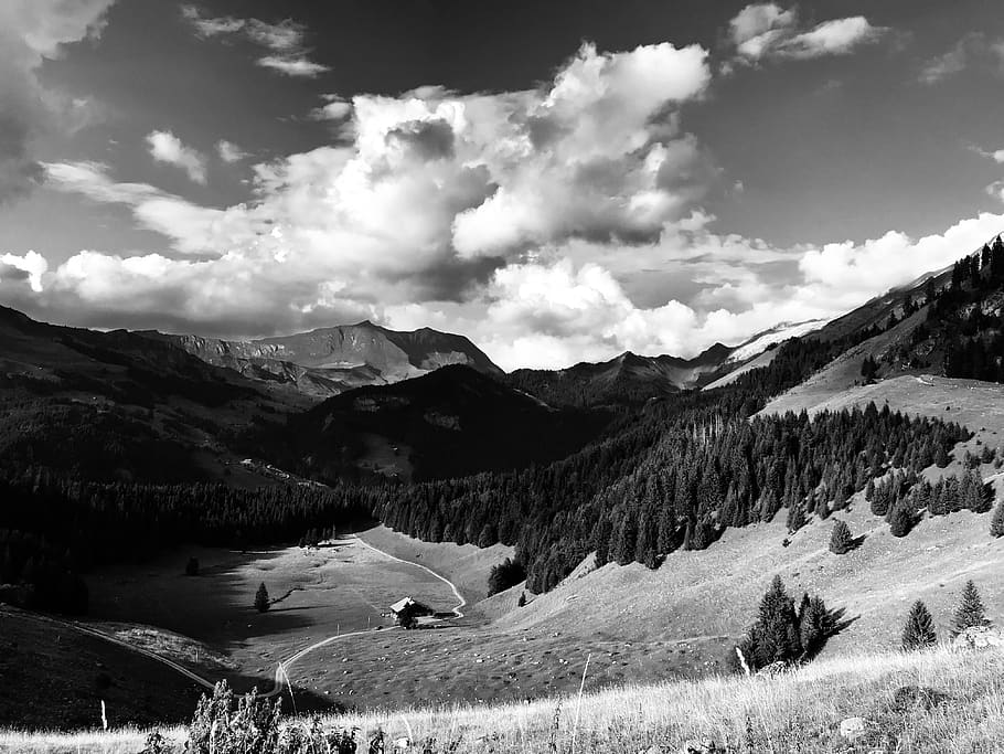 nature, mountain, outdoors, mountain range, plant, tree, abies HD wallpaper