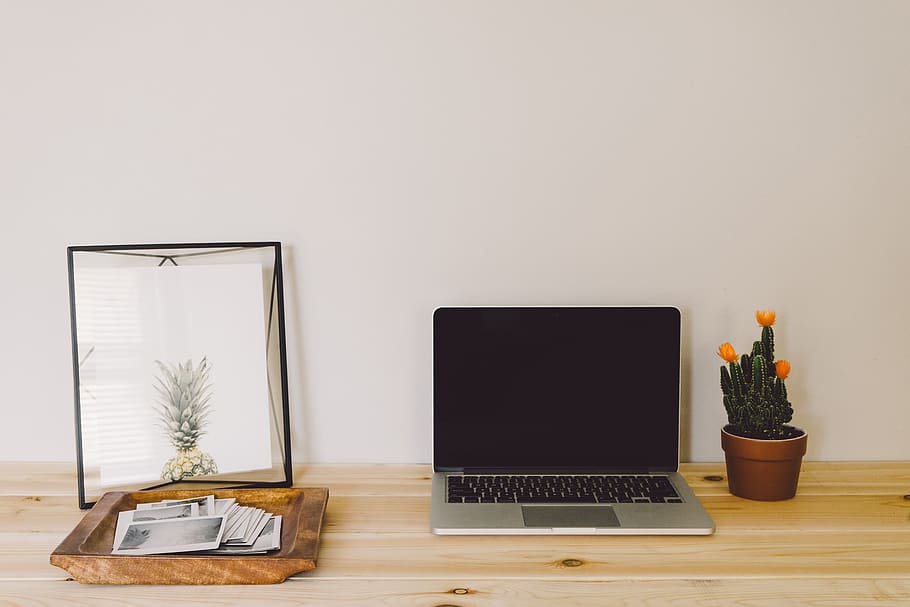 Macbook Pro on Brown Table Near Pot of Cactus, contemporary, desk, HD wallpaper