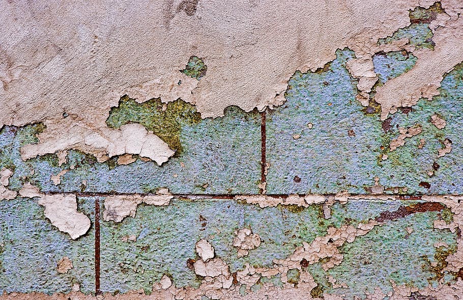 blue concrete wall, rust, rug, algae, plant, brick, slate, map HD wallpaper