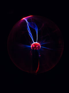 Plasma globe, animal, sea life, invertebrate, sphere, jellyfish HD wallpaper