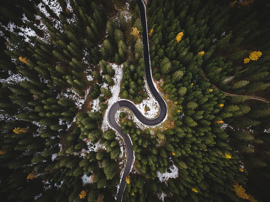 Bird's Eye View Of Roadway Surrounded By Trees, conifers, curve