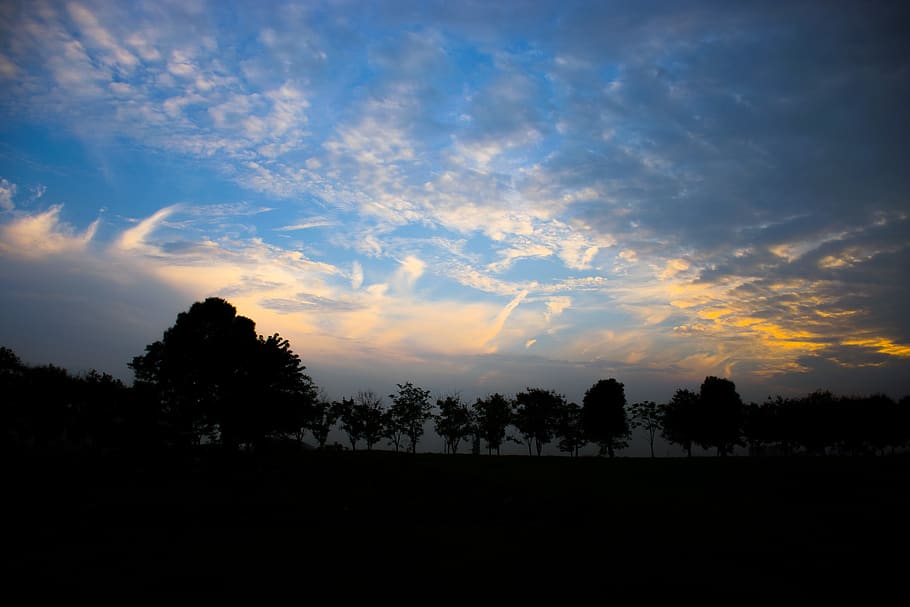 sunset, sky, autumn, silhouette, tree, cloud - sky, beauty in nature HD wallpaper