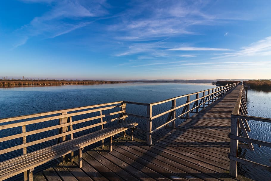 spring lake, landscape, web, nature, mood, nature reserve, nature conservation HD wallpaper