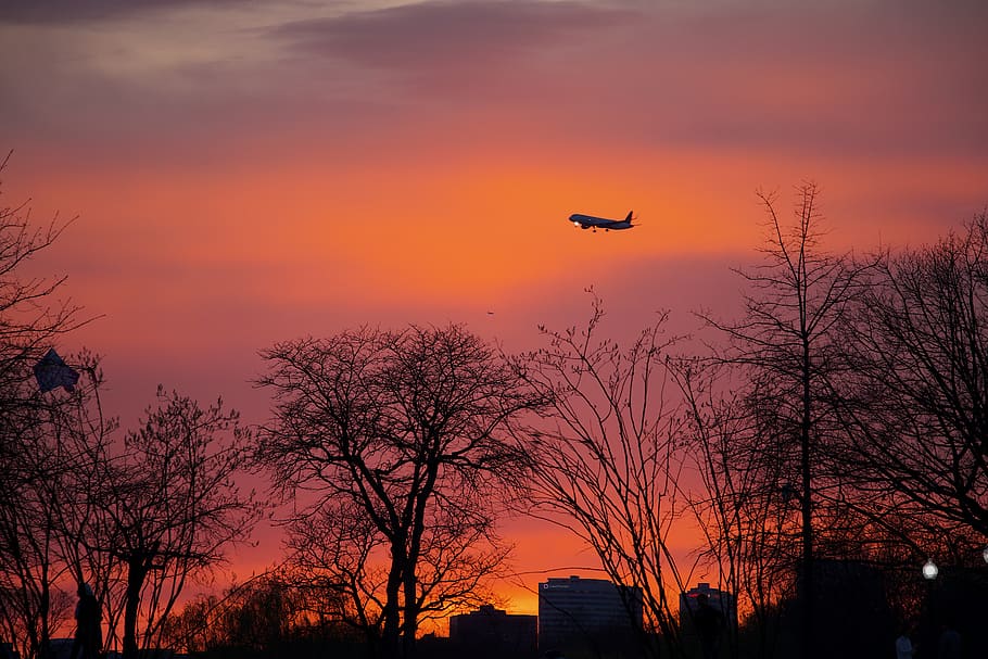 nature, sunset, outdoors, dawn, red sky, dusk, silhouette, airplane HD wallpaper