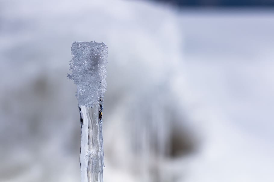 snow, ice, winter, white, cold, cold temperature, frozen, environment HD wallpaper