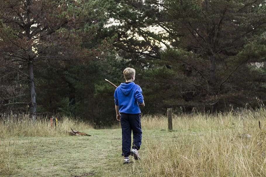australia, armidale, play, tree, forest, boy, exploration, running HD wallpaper