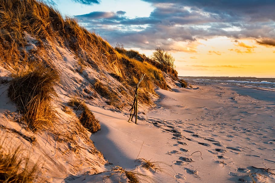 west beach, baltic sea, dunes, dune grass, sky, fischland-darss, HD wallpaper