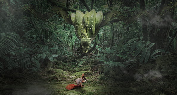 snake, squirrel, forest, creature, curious, risk, jungle, photomontage HD wallpaper