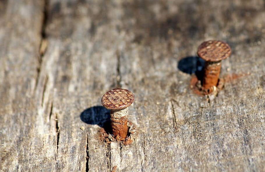 nail, pounded, wood, rusty, old, boards, plant, day, nature HD wallpaper