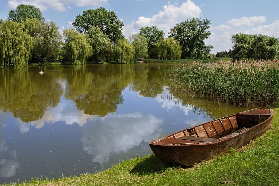 landscape, lakeside, waterfront, reflection, reed, trees, boat HD wallpaper