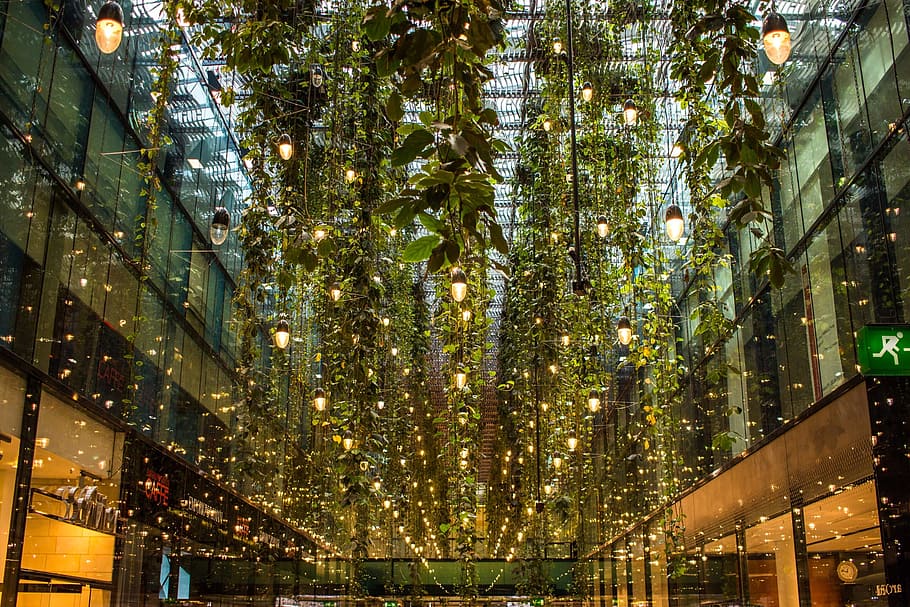 pendant light lot, dangling light, glass, indoor, ceiling, illumination HD wallpaper