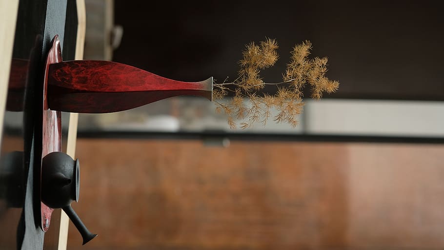 red bottle, no people, tree, plant, focus on foreground, close-up HD wallpaper