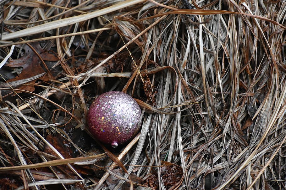 light, food, egg, sphere, flare, glitter, teal, ground, easter egg HD wallpaper