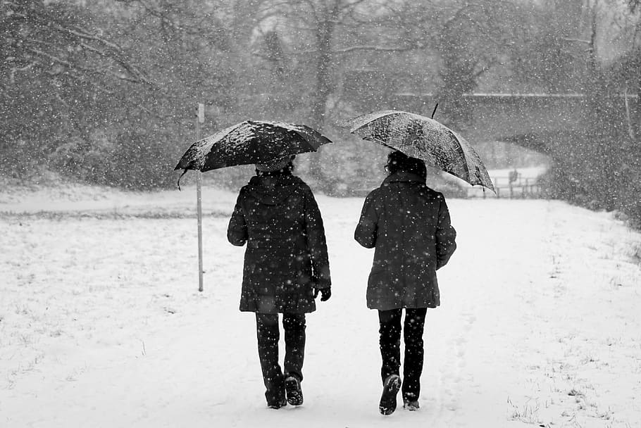 two persons holding umbrella while walking, human, people, storm HD wallpaper