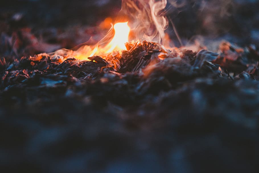 campfire, bonfire, burning, fire - natural phenomenon, heat - temperature HD wallpaper